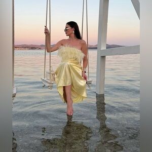 Spring🌺 NWT ZARA FEATHERED SATIN  DRESS 
🚨firm price no  discount in this dress